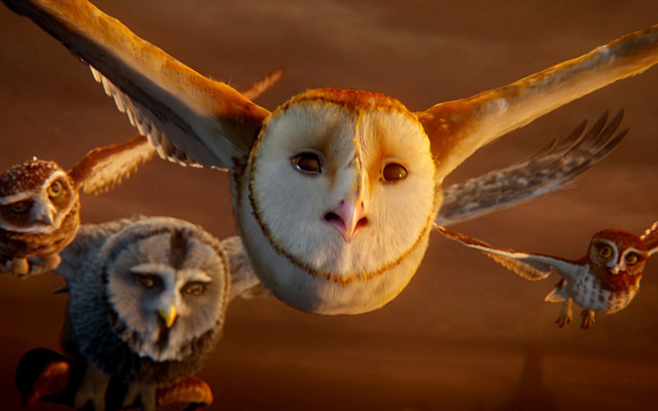 Legend of the Guardians: The Owls of Ga'Hoole (2) #37 - 1280x800