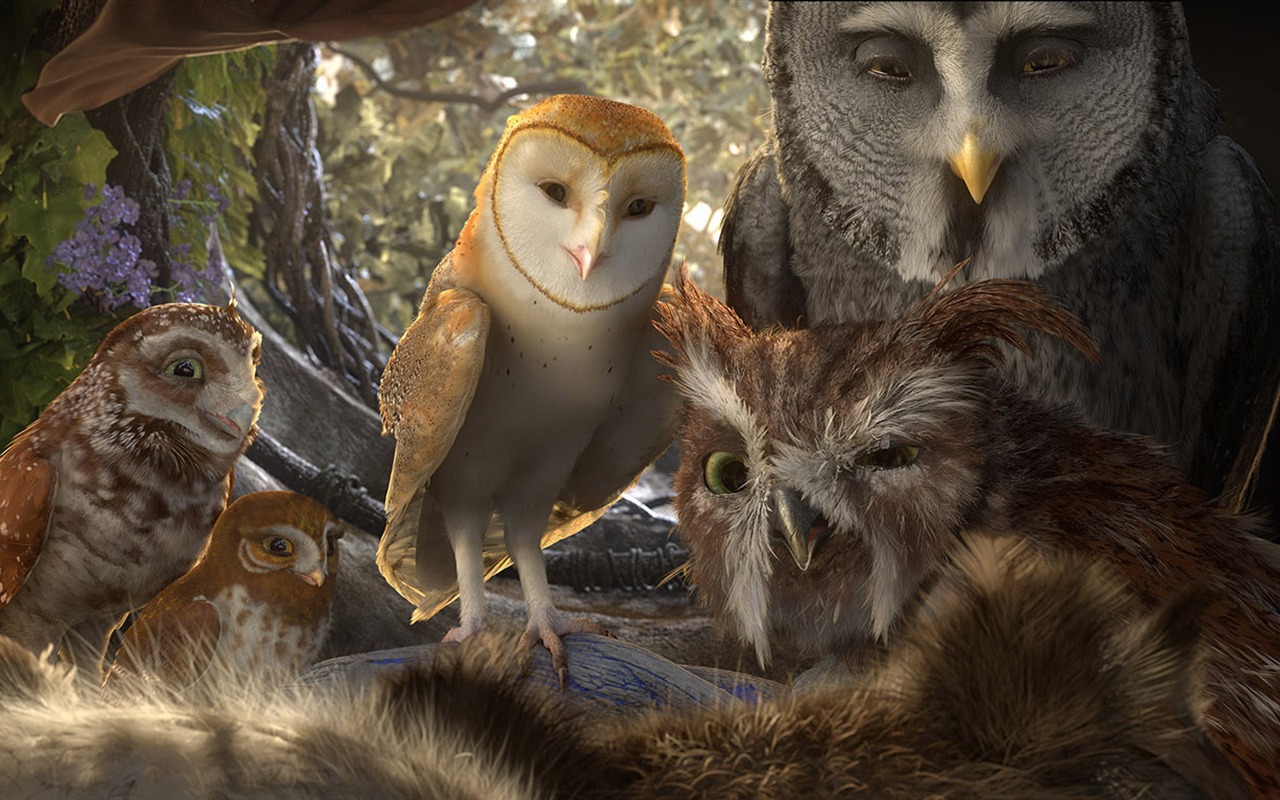 Legend of the Guardians: The Owls of Ga'Hoole (2) #39 - 1280x800