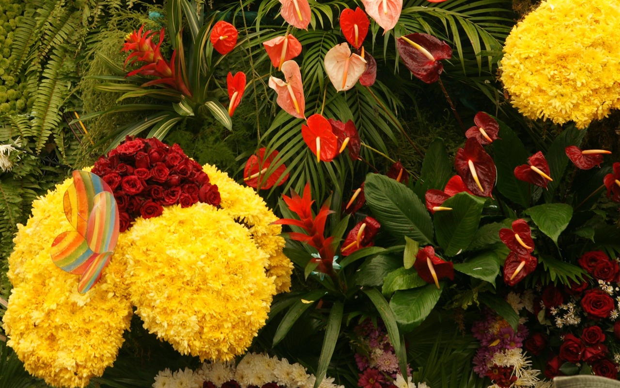 fleurs colorées décorent fond d'écran (1) #9 - 1280x800