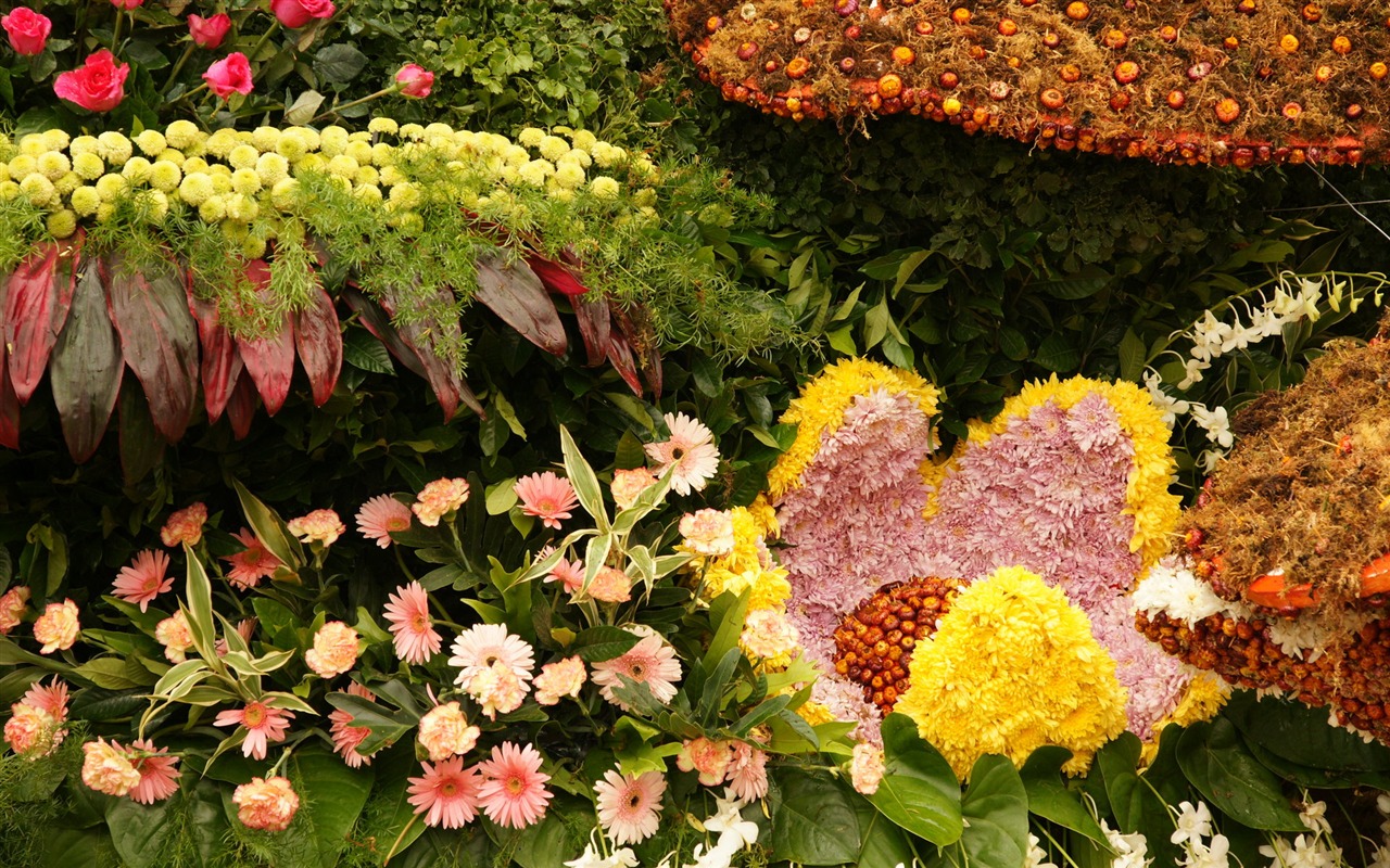 fleurs colorées décorent fond d'écran (1) #13 - 1280x800