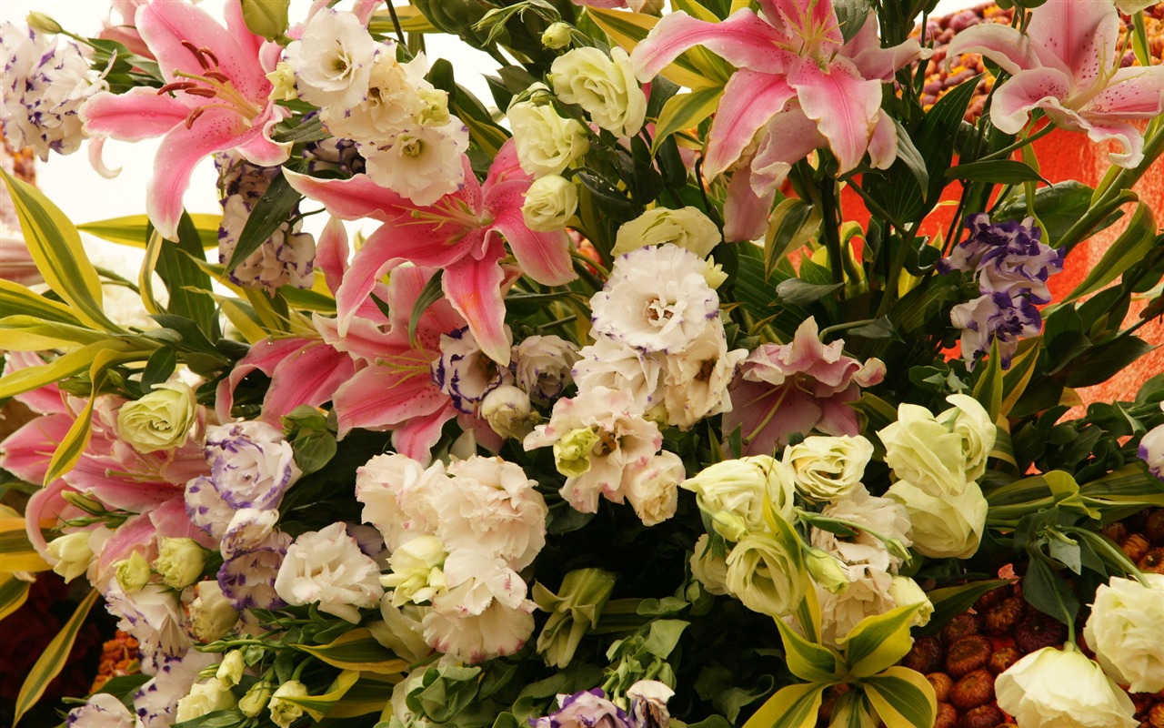 fleurs colorées décorent fond d'écran (1) #20 - 1280x800
