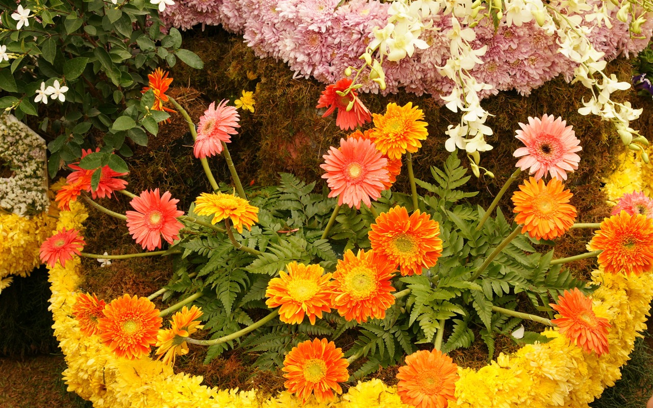色とりどりの花は、 (4) 壁紙を飾る #19 - 1280x800