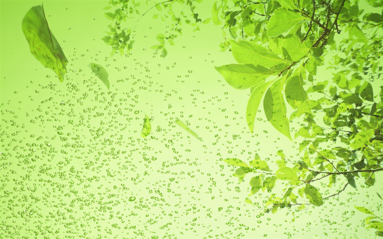 Zelená a přírodní Wallpaper (3) #19 - 1280x800