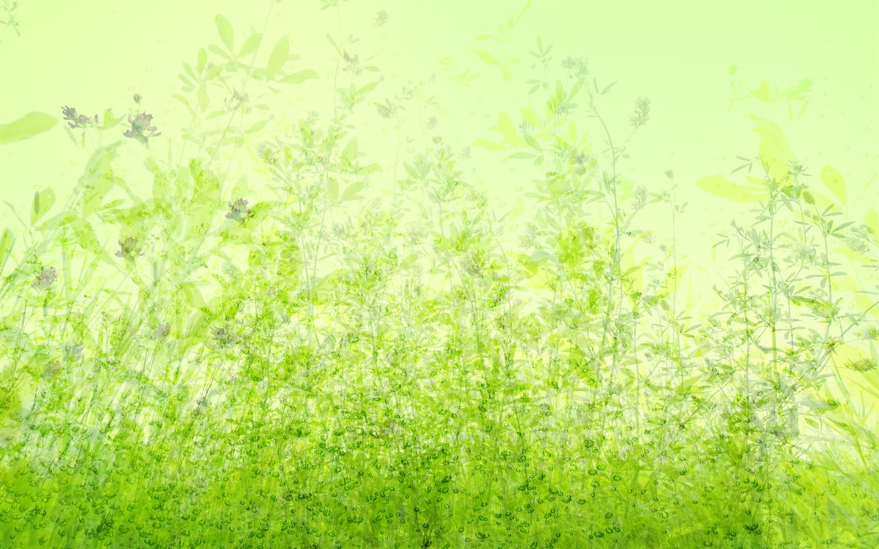 Zelená a přírodní Wallpaper (4) #11 - 1280x800