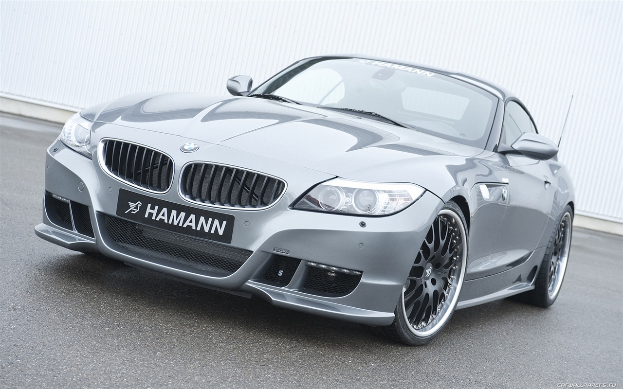 Hamann BMW Z4 E89 - 2010 HD Wallpaper #1 - 1280x800
