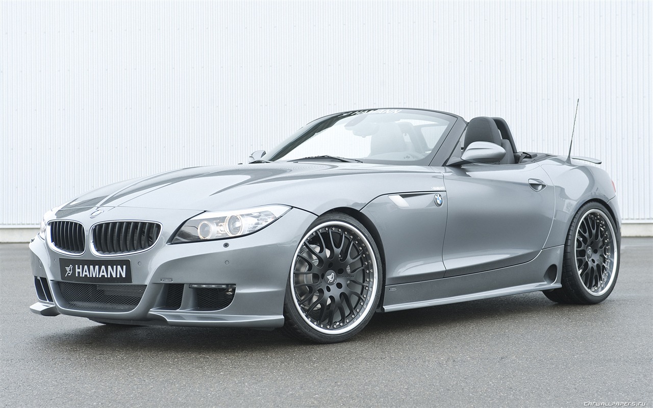 Hamann BMW Z4 E89 - 2010 寶馬 #2 - 1280x800