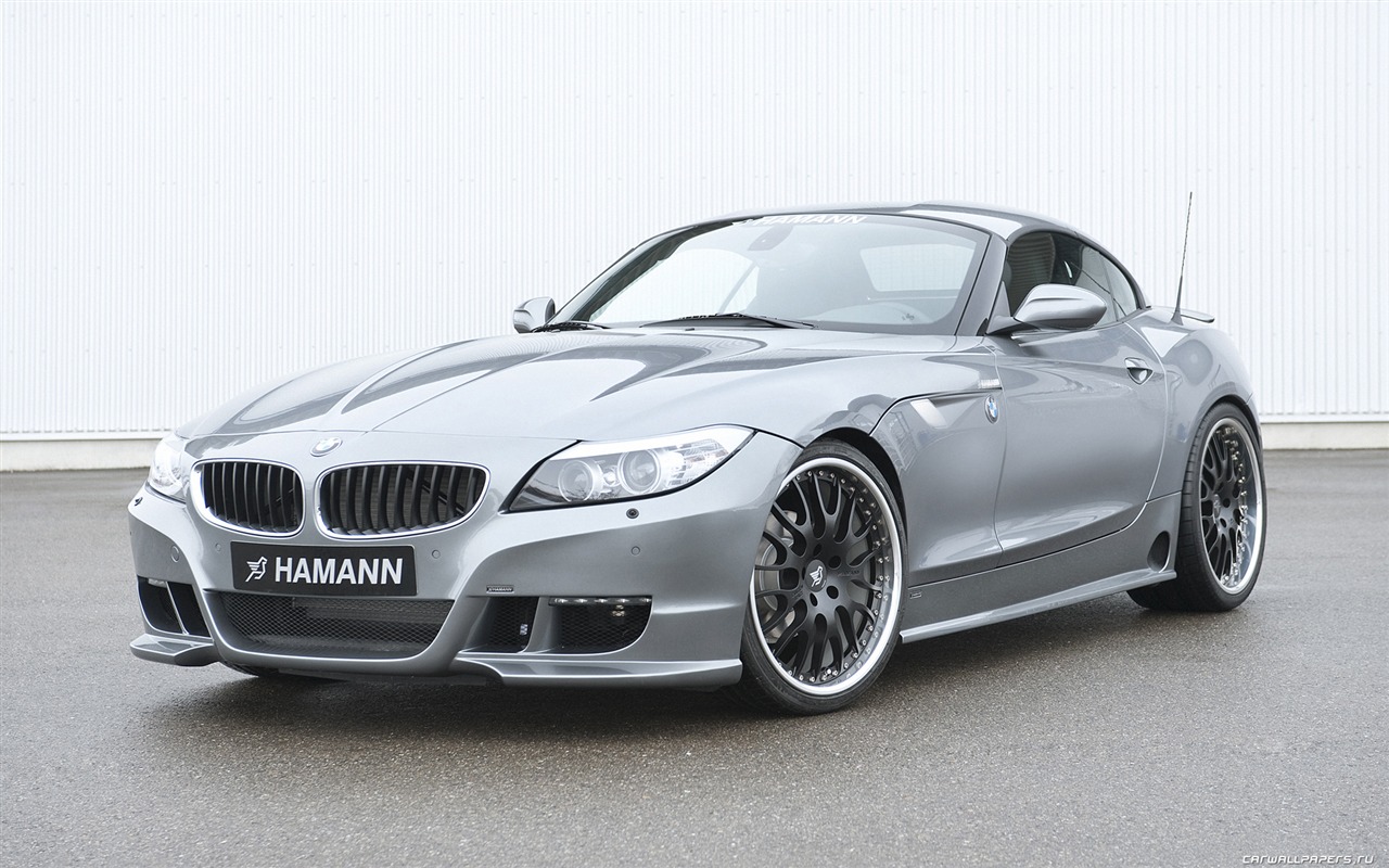 Hamann BMW Z4 E89 - 2010 宝马3 - 1280x800