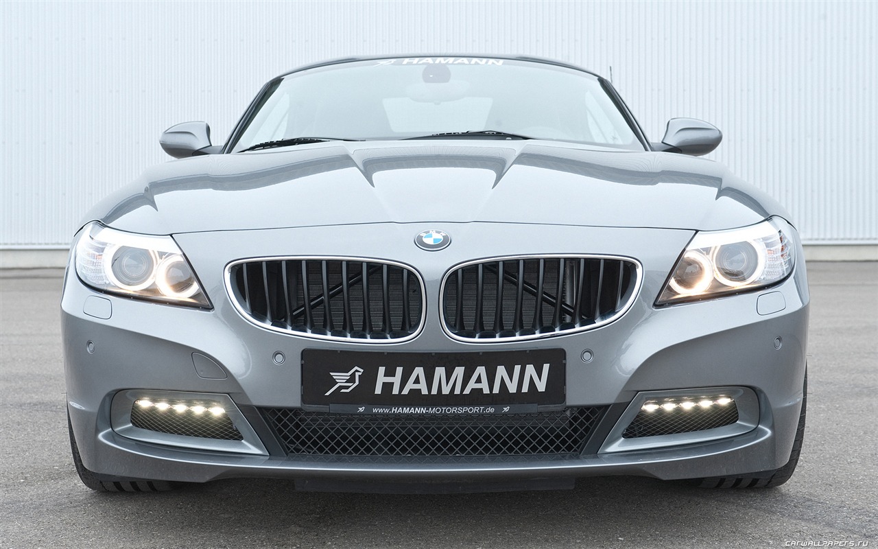 Hamann BMW Z4 E89 - 2010 宝马15 - 1280x800