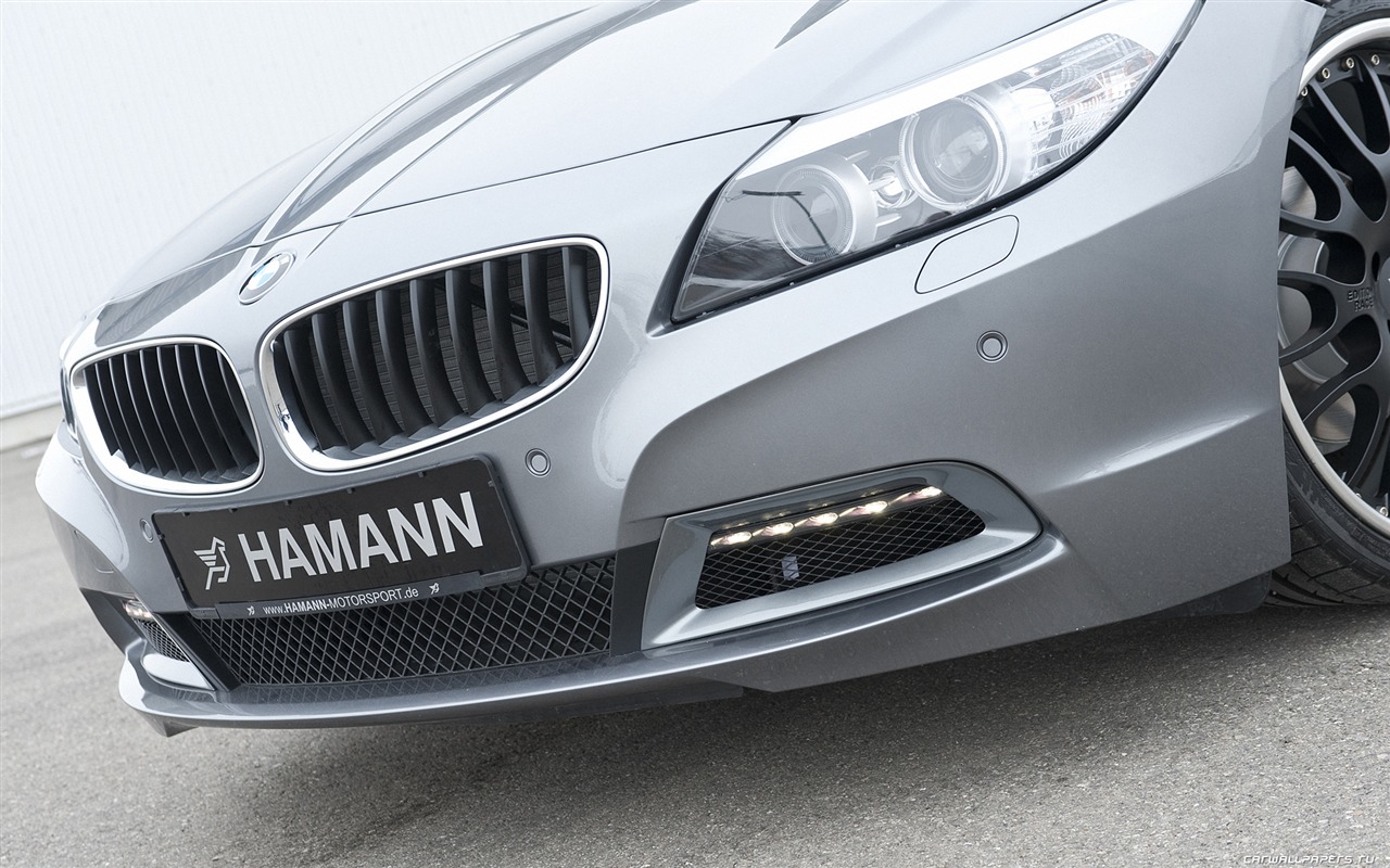 Hamann BMW Z4 E89 - 2010 宝马16 - 1280x800