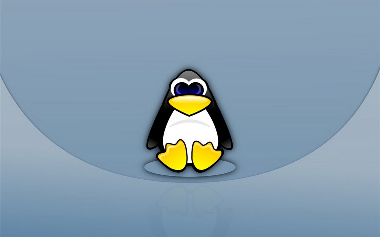 리눅스 벽지 (3) #4 - 1280x800