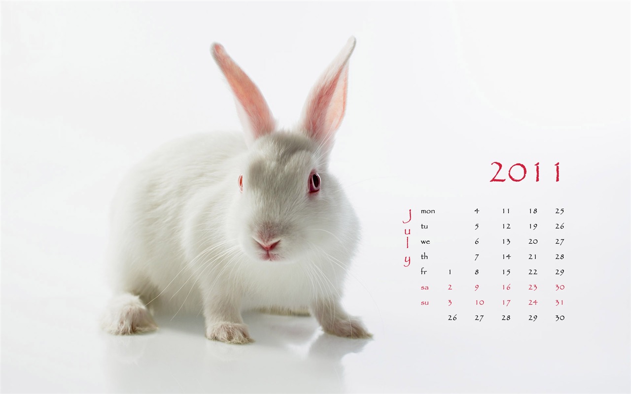 Año del Conejo fondos de escritorio calendario 2011 (1) #7 - 1280x800