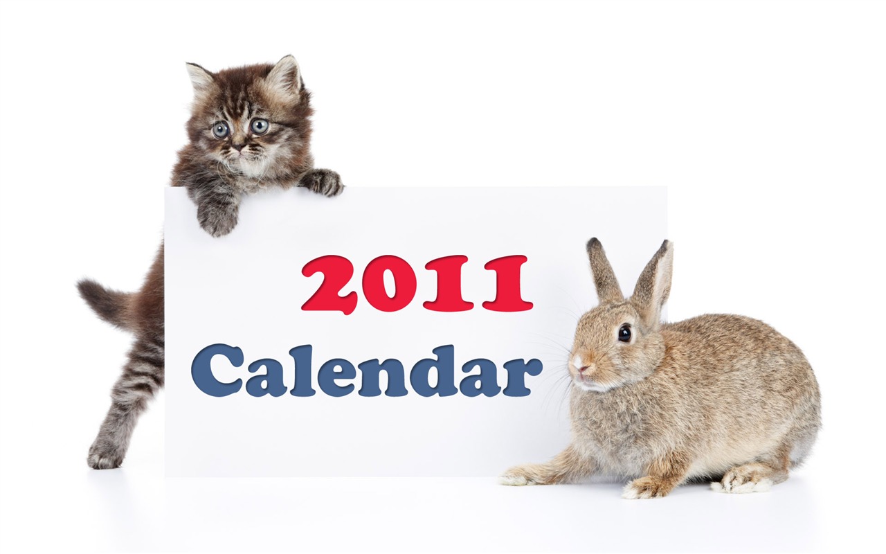 Год Кролика 2011 календарь обои (1) #13 - 1280x800