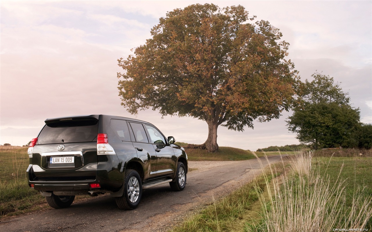 Toyota Land Cruiser Prado - 2009 豐田 #24 - 1280x800