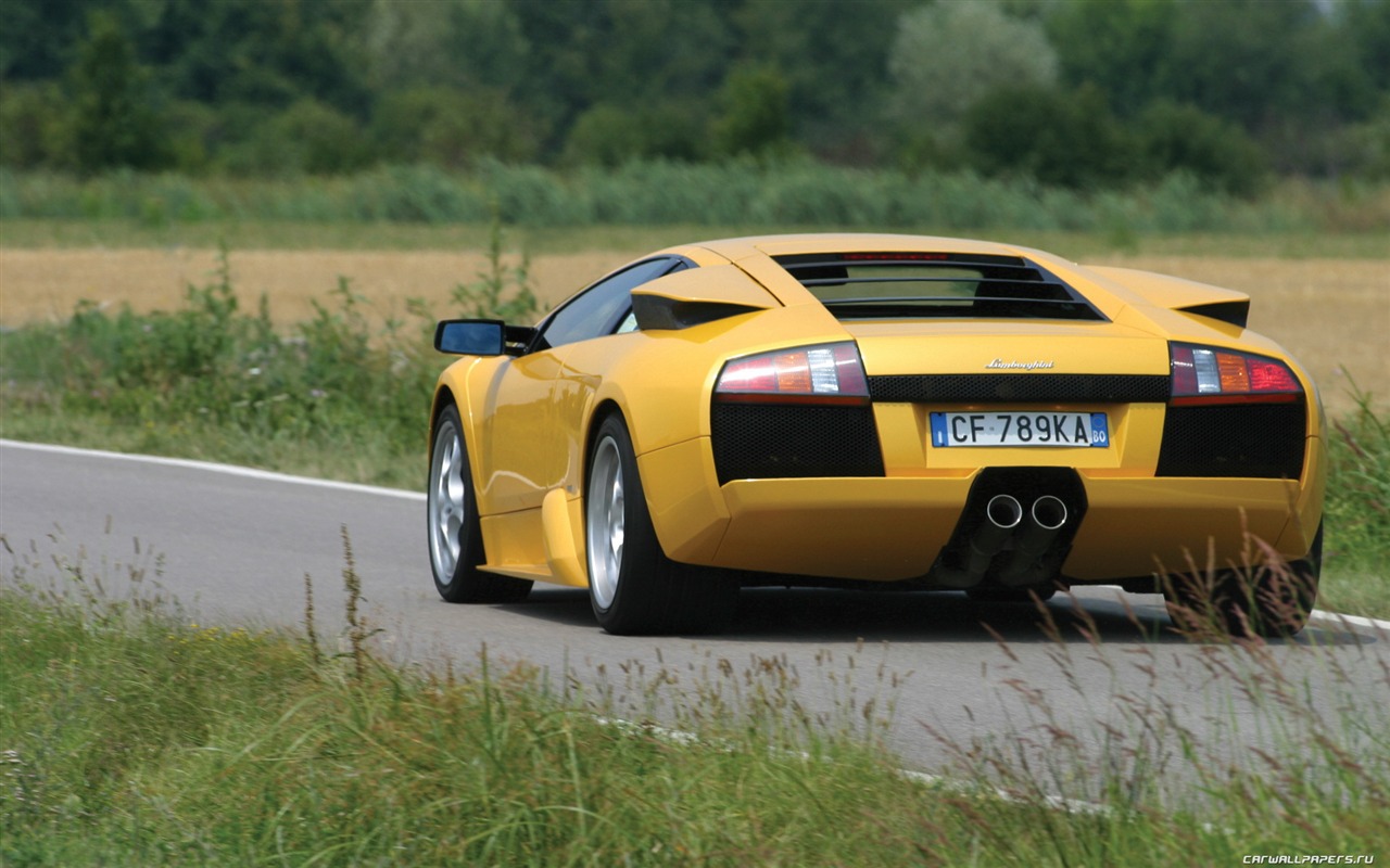 Lamborghini Murcielago - 2001 兰博基尼(二)2 - 1280x800