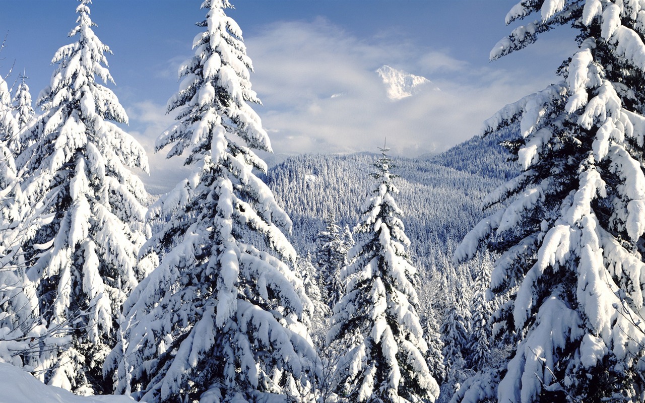 Fond d'écran panoramique de neige (4) #5 - 1280x800
