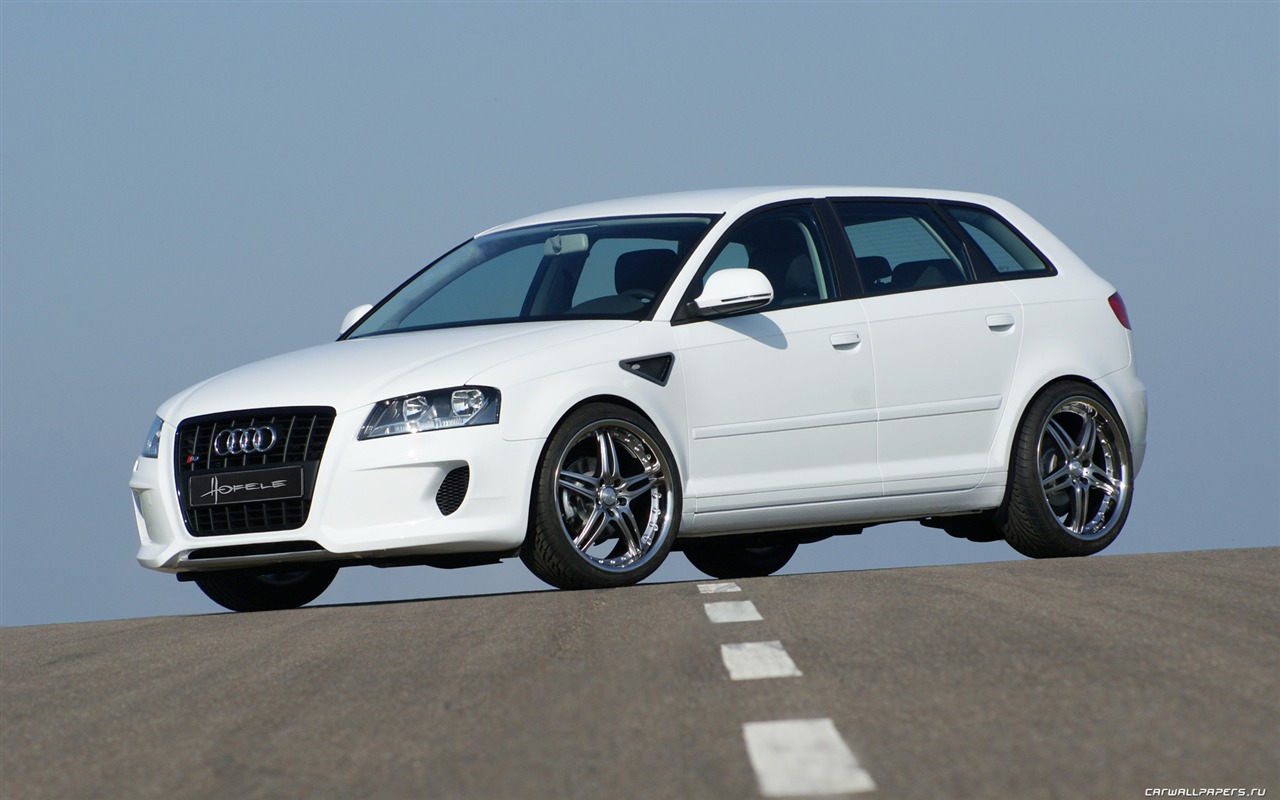 Hofele Audi A3 S3 8PA A4 B6 Cabrio A5 B8 Coupe 奧迪 #14 - 1280x800