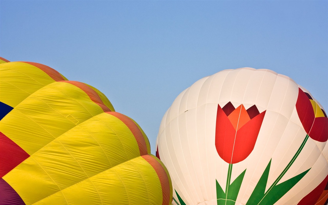 Barevné horkovzdušné balóny tapety (1) #17 - 1280x800