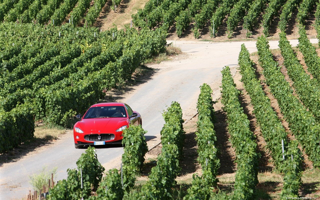 Maserati GranTurismo - 2010 HD tapetu #25 - 1280x800