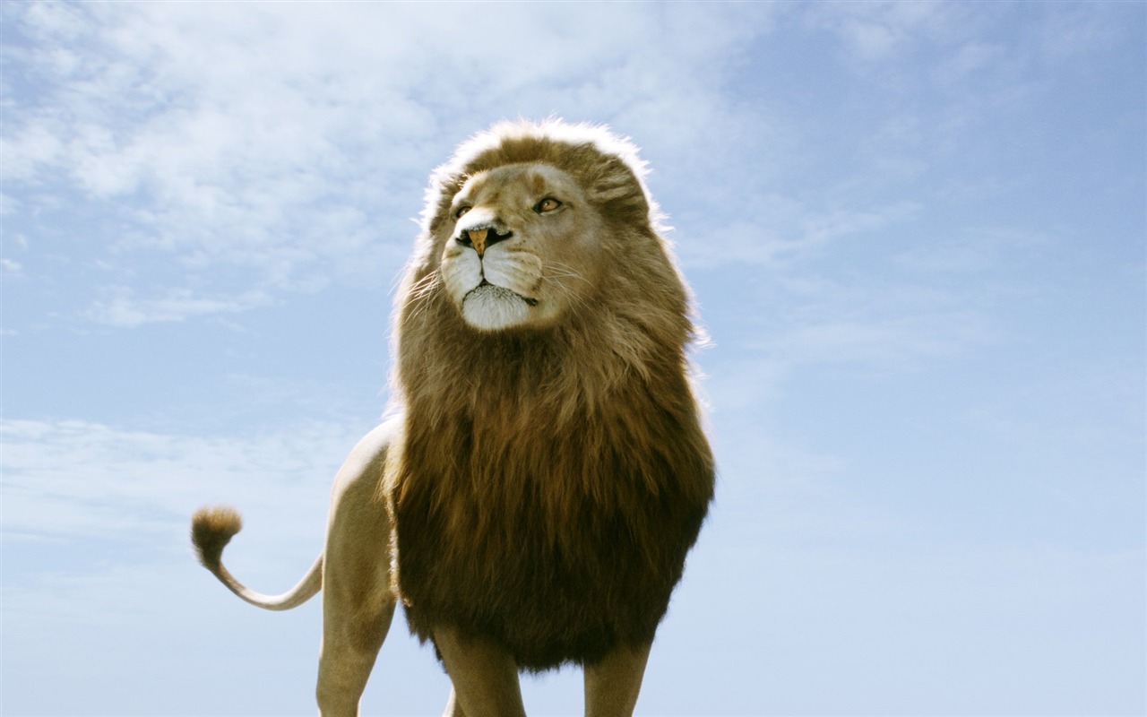 The Chronicles of Narnia: The Voyage of the Dawn Treader wallpapers #8 - 1280x800