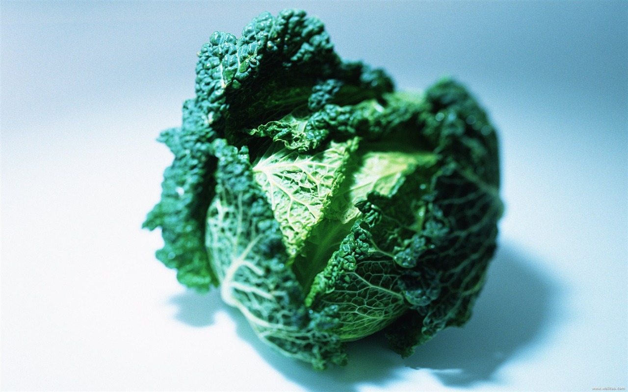 Обои зеленые здоровые овощи #10 - 1280x800