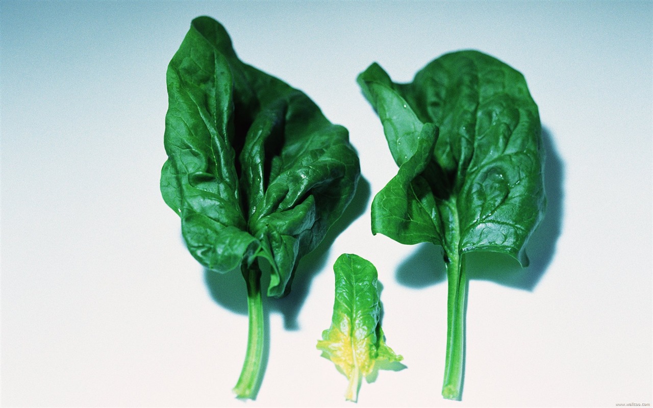 Обои зеленые здоровые овощи #22 - 1280x800
