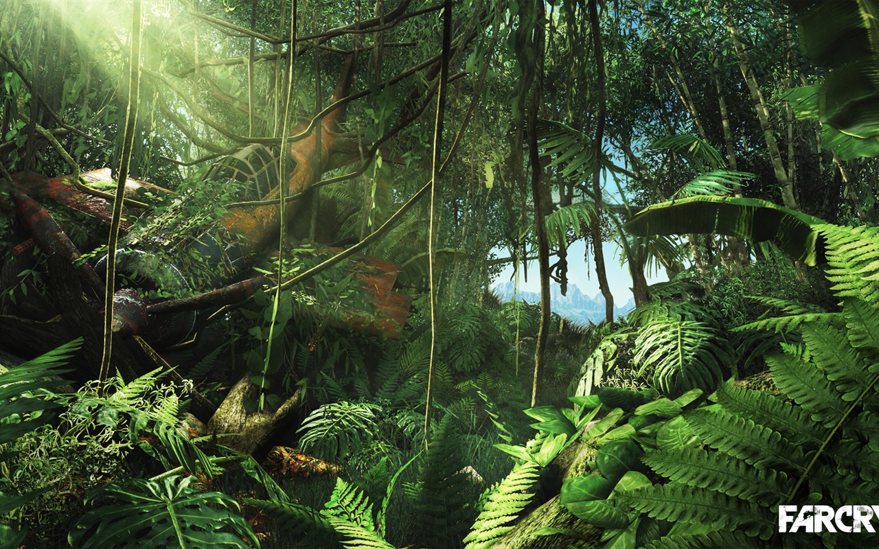 Far Cry 3 HD Wallpaper #3 - 1280x800