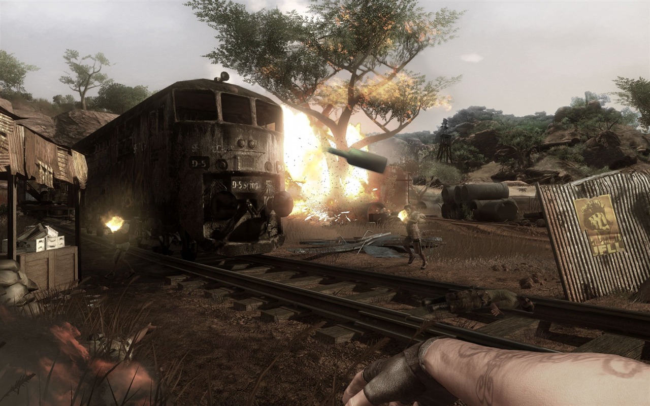 Far Cry 3 fonds d'écran HD #7 - 1280x800