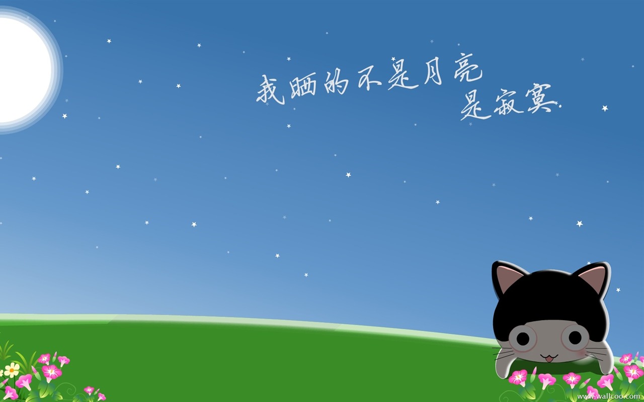 貓咪寶貝 卡通壁紙(三) #17 - 1280x800