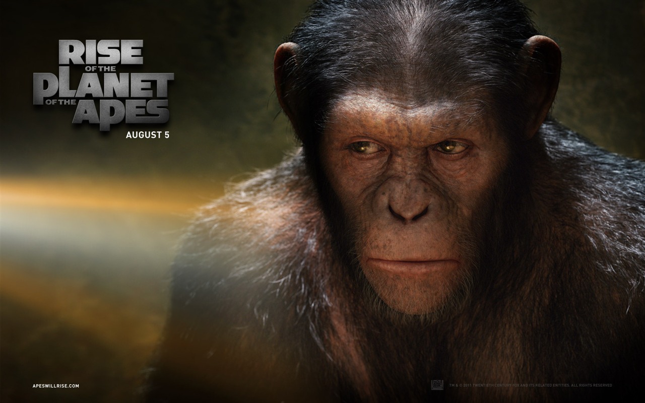 Rise of the Planet of the Apes wallpapers #1 - 1280x800