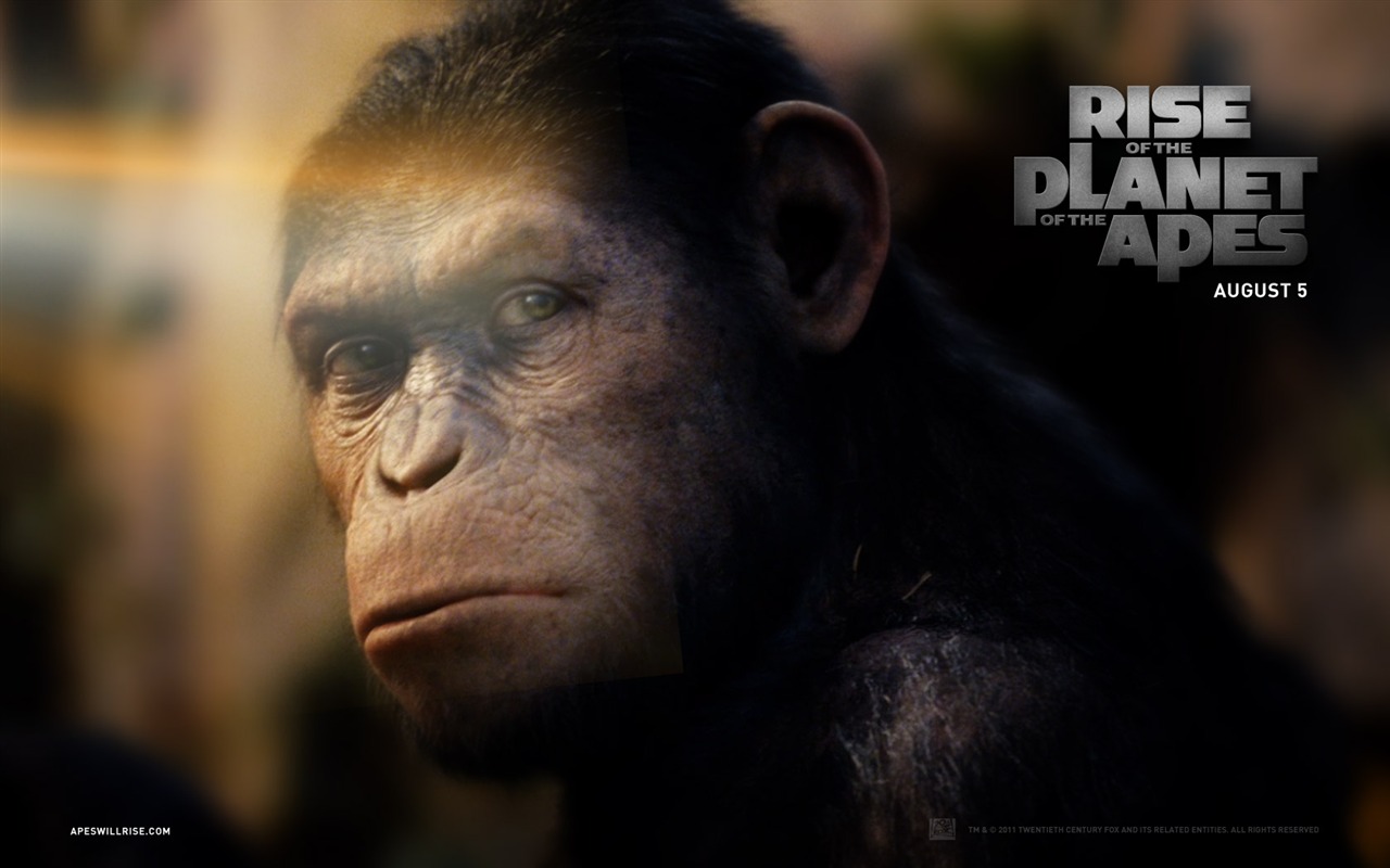 Rise of the Planet of the Apes wallpapers #2 - 1280x800