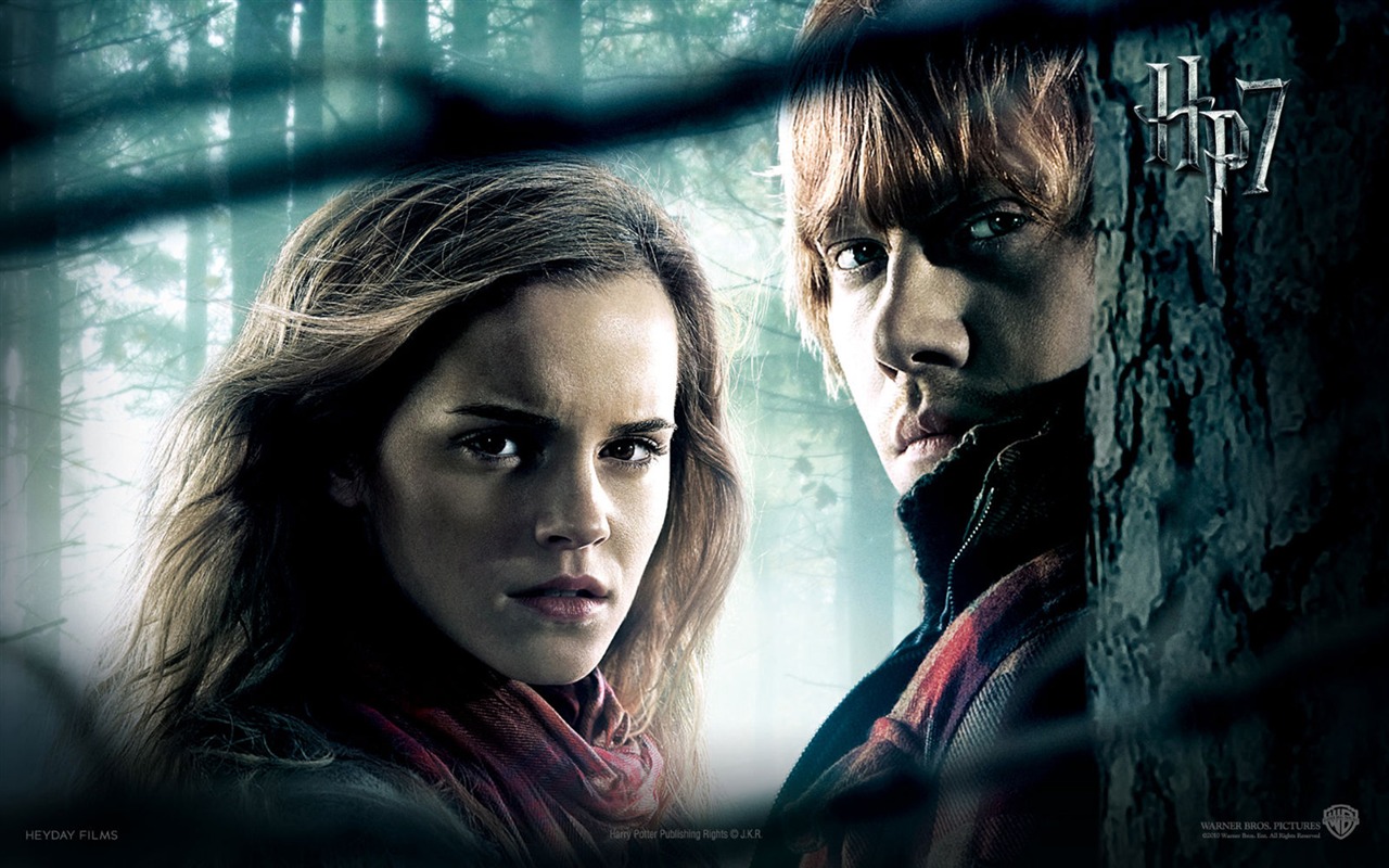 Harry Potter and the Deathly Hallows 哈利·波特与死亡圣器 高清壁纸4 - 1280x800