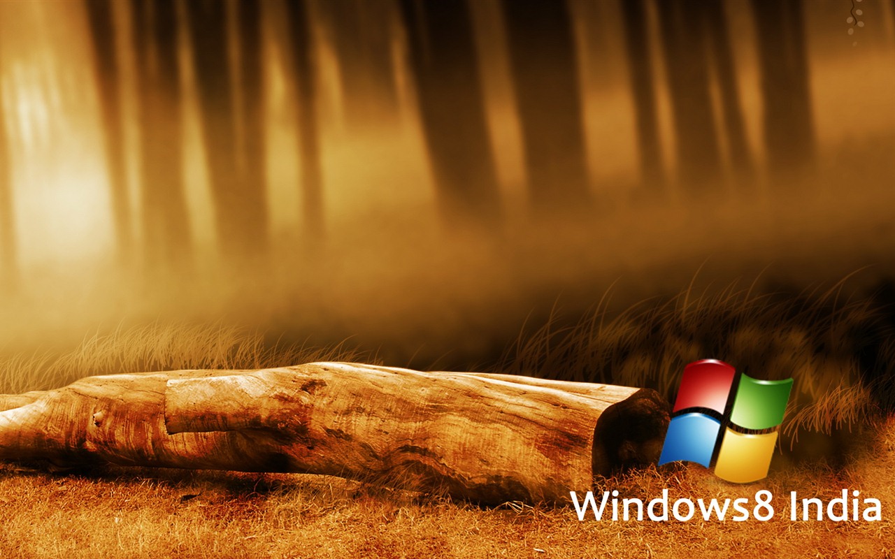 윈도우 8 테마 배경 화면 (1) #8 - 1280x800