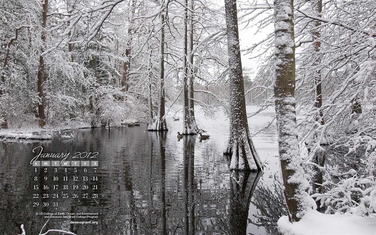 Январь 2012 Календарь Обои #2 - 1280x800