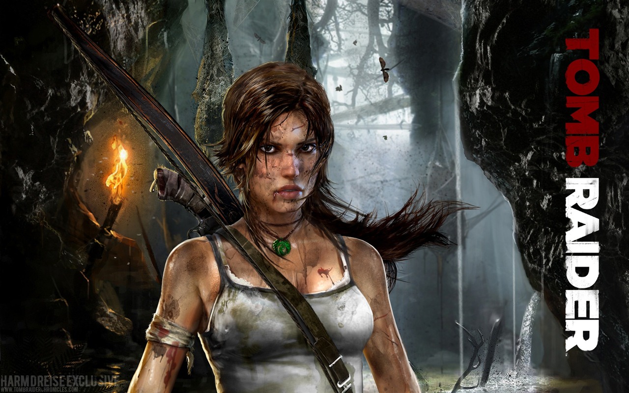 Tomb Raider 9 fonds d'écran HD #1 - 1280x800