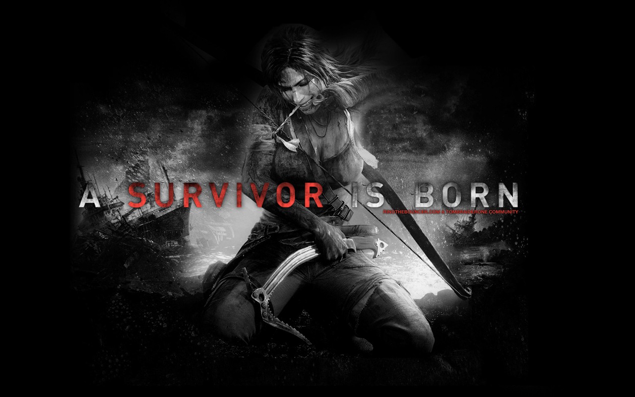 Tomb Raider 9 fondos de pantalla HD #8 - 1280x800