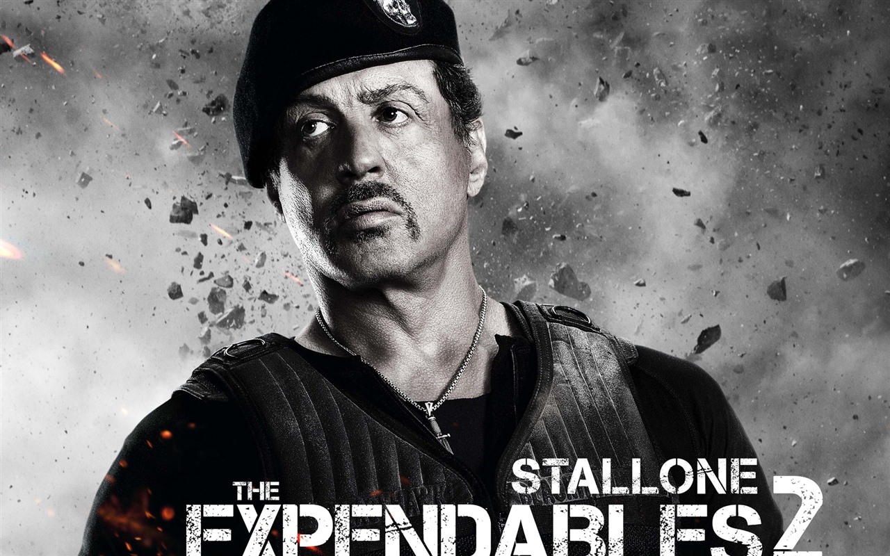 2012 Expendables 2 HD tapety na plochu #9 - 1280x800