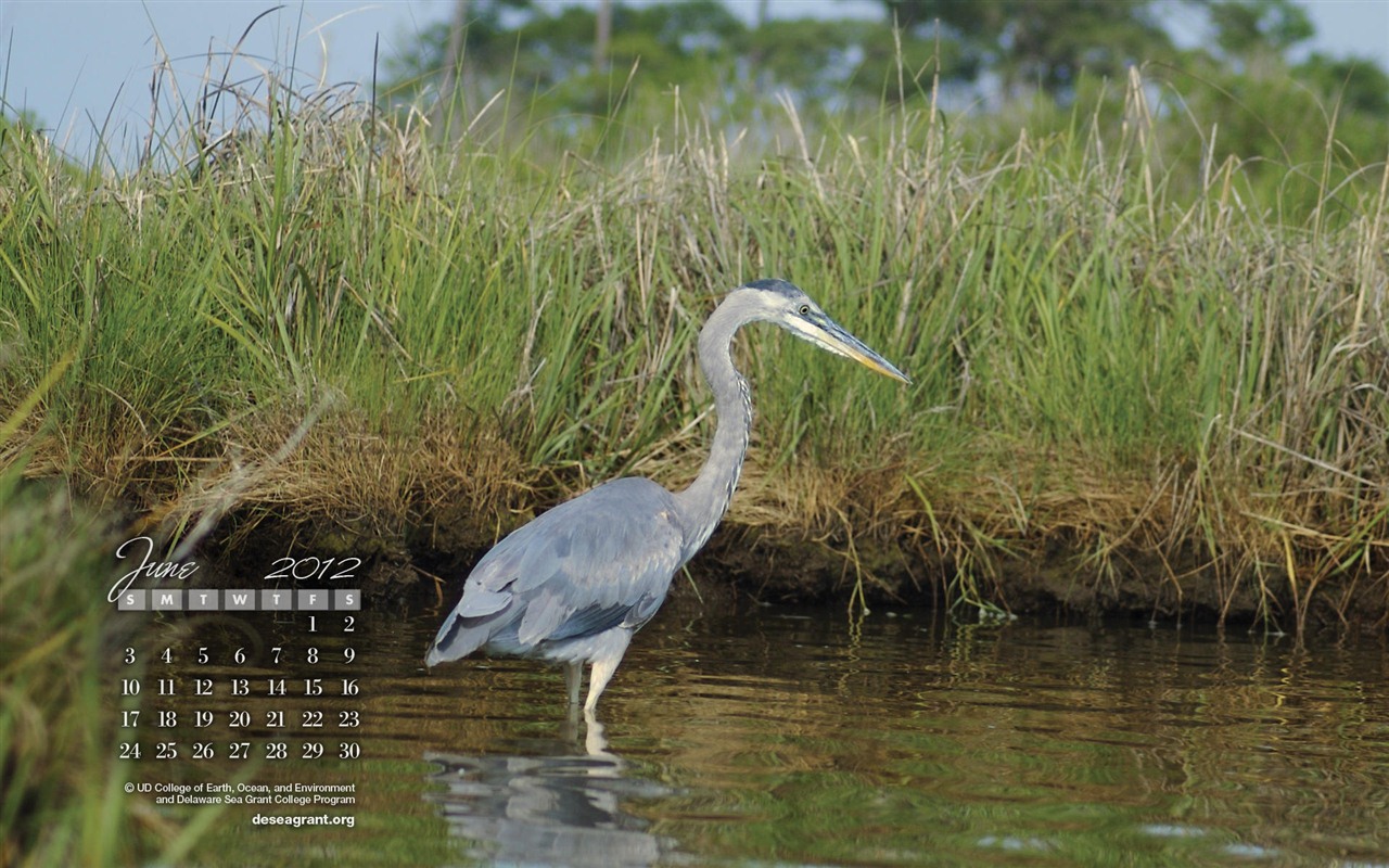 Juni 2012 Kalender Wallpapers (1) #10 - 1280x800