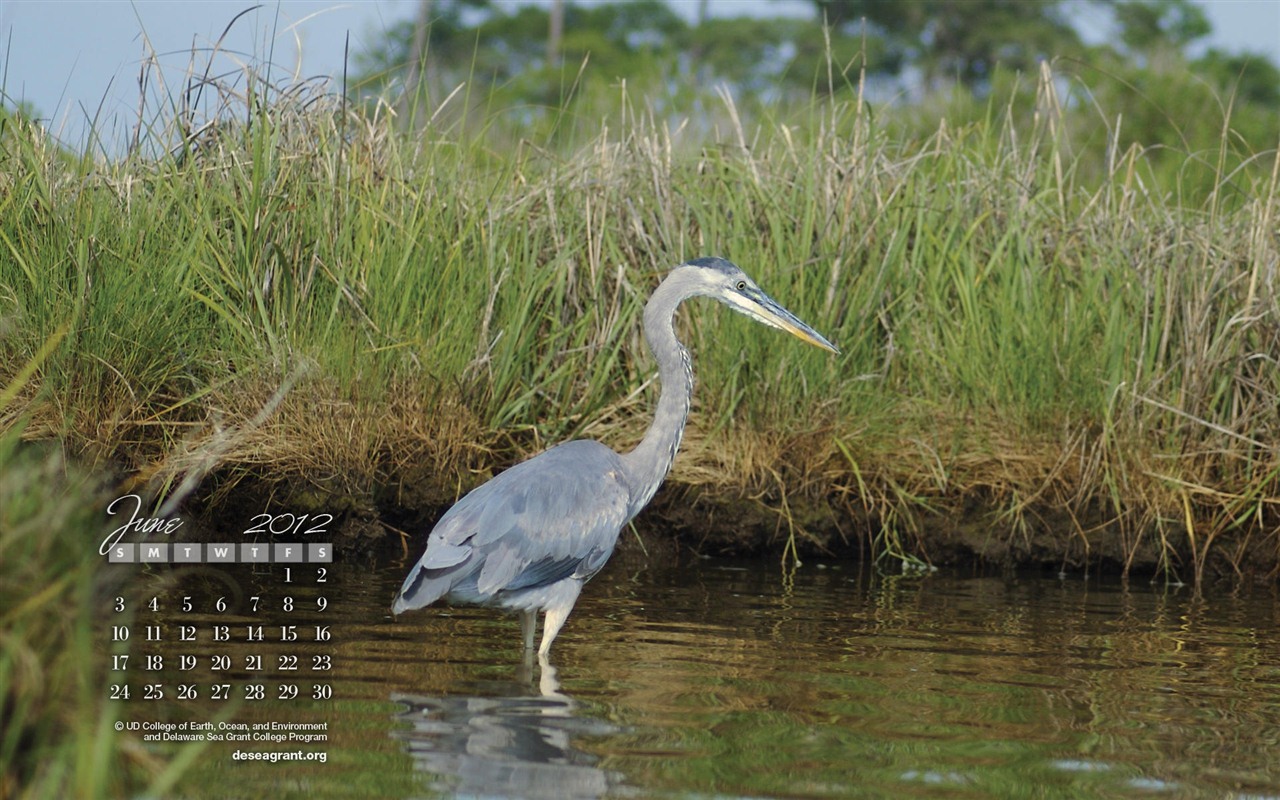 June 2012 Calendar wallpapers (1) #10 - 1280x800