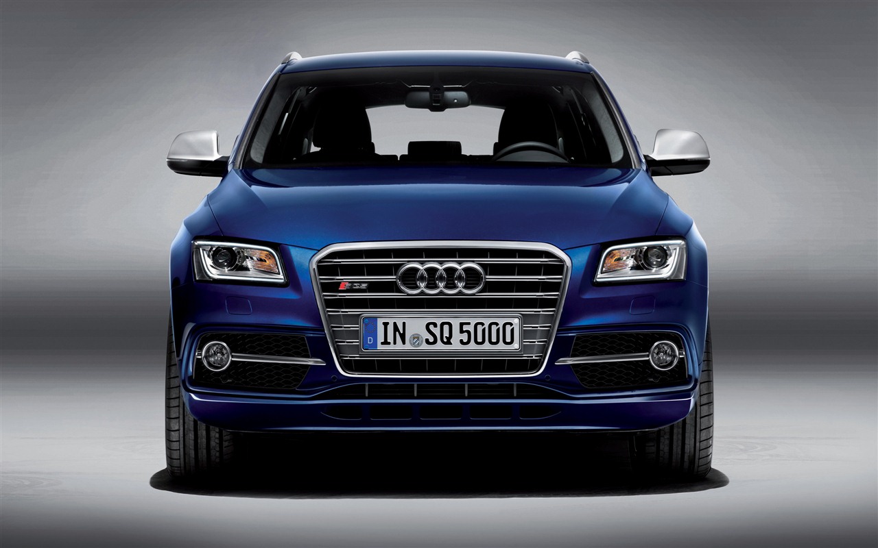 2013 Audi TDI SQ5 fondos de pantalla de alta definición #3 - 1280x800