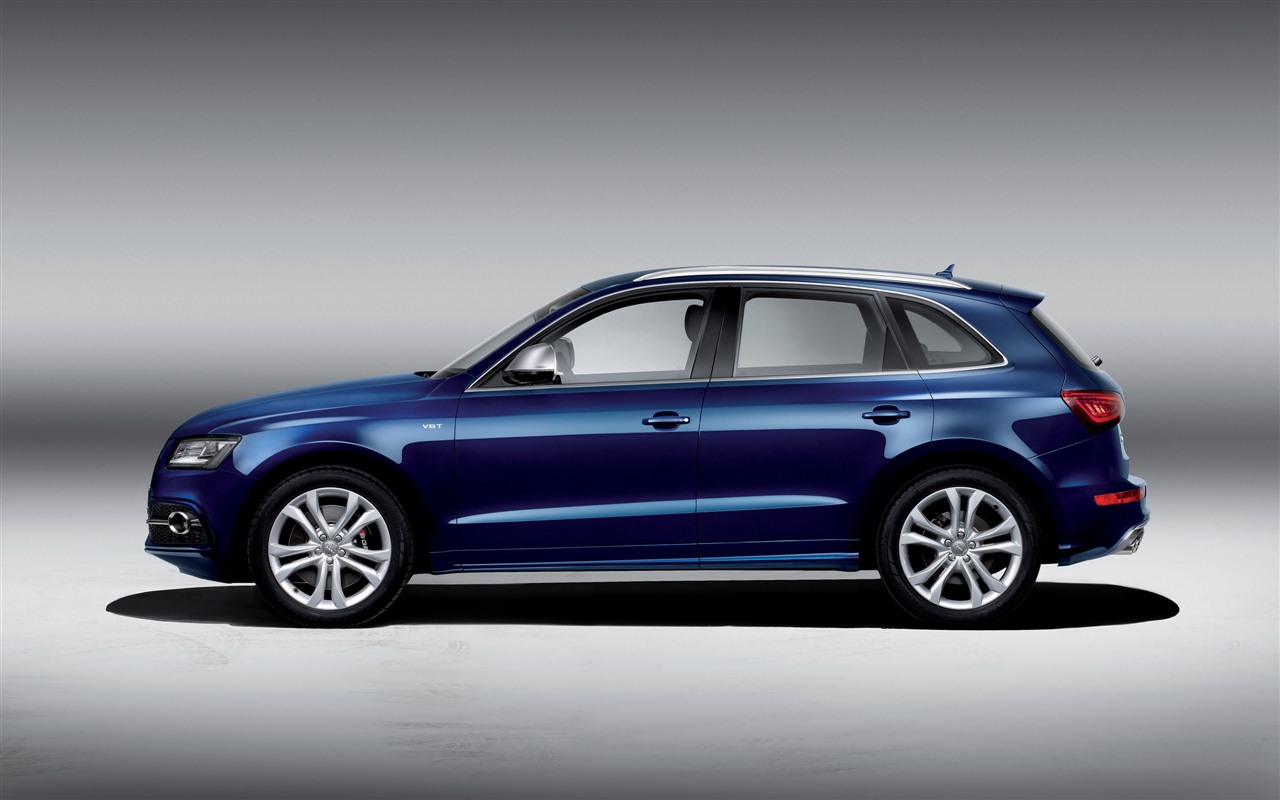 2013 Audi SQ5 TDI 奧迪 高清壁紙 #5 - 1280x800