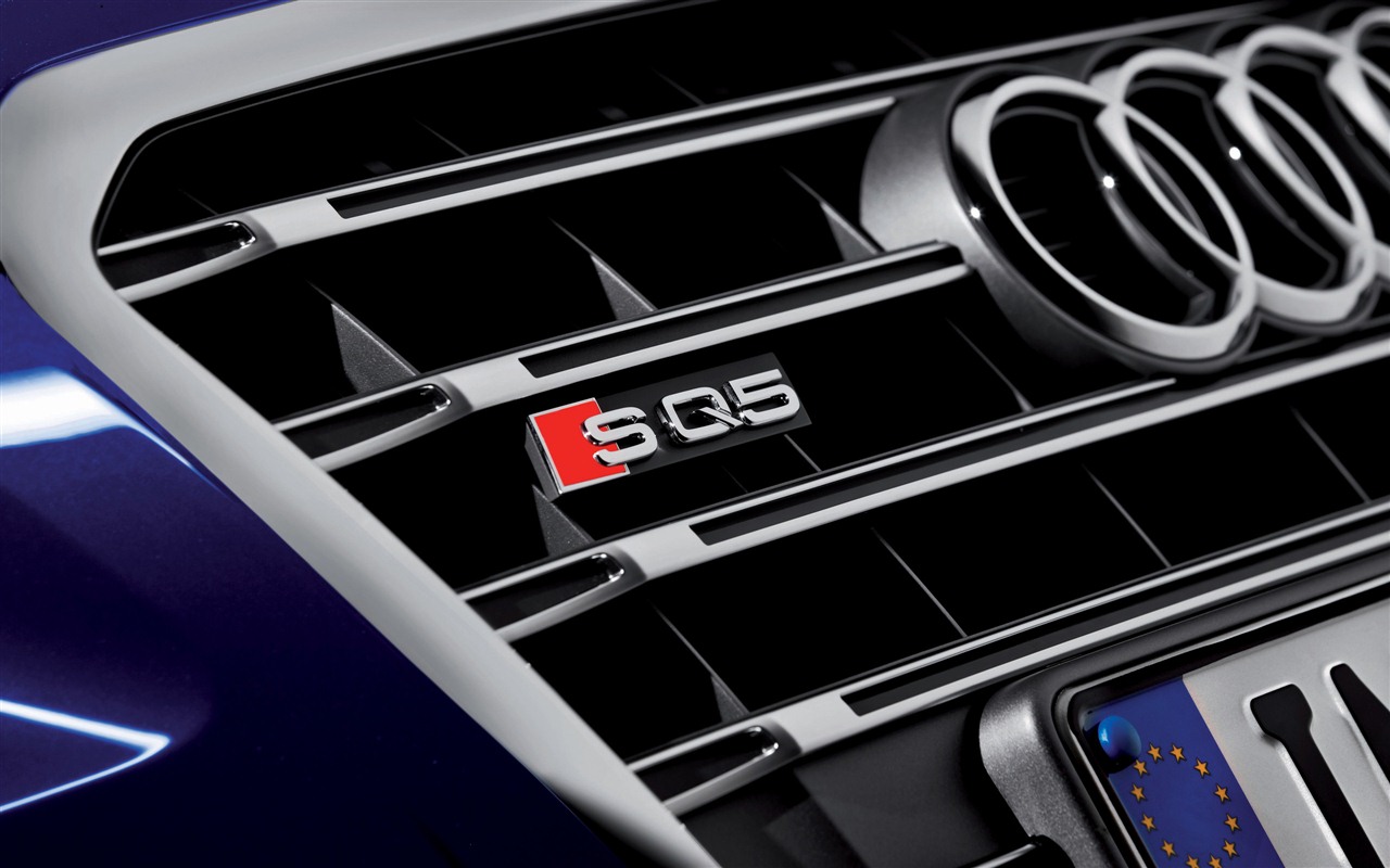 2013 Audi TDI SQ5 fondos de pantalla de alta definición #11 - 1280x800