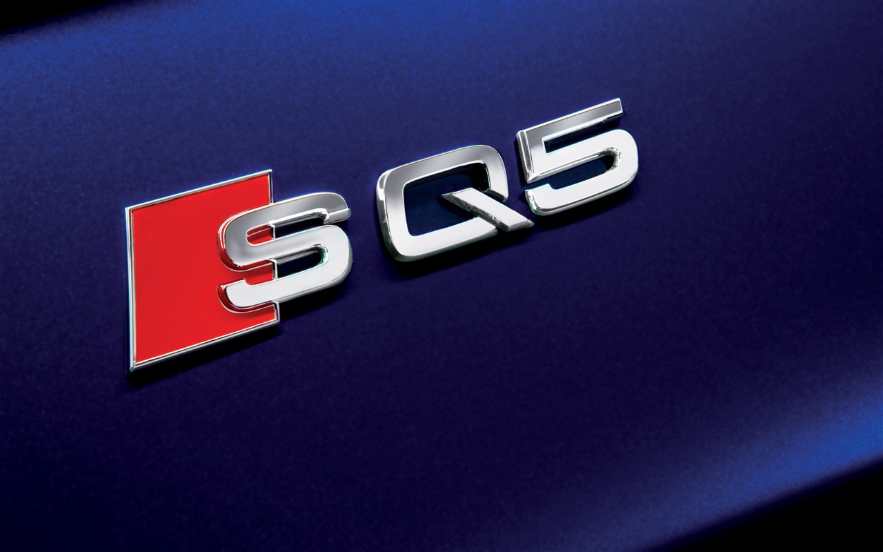 2013 Audi TDI SQ5 fondos de pantalla de alta definición #13 - 1280x800
