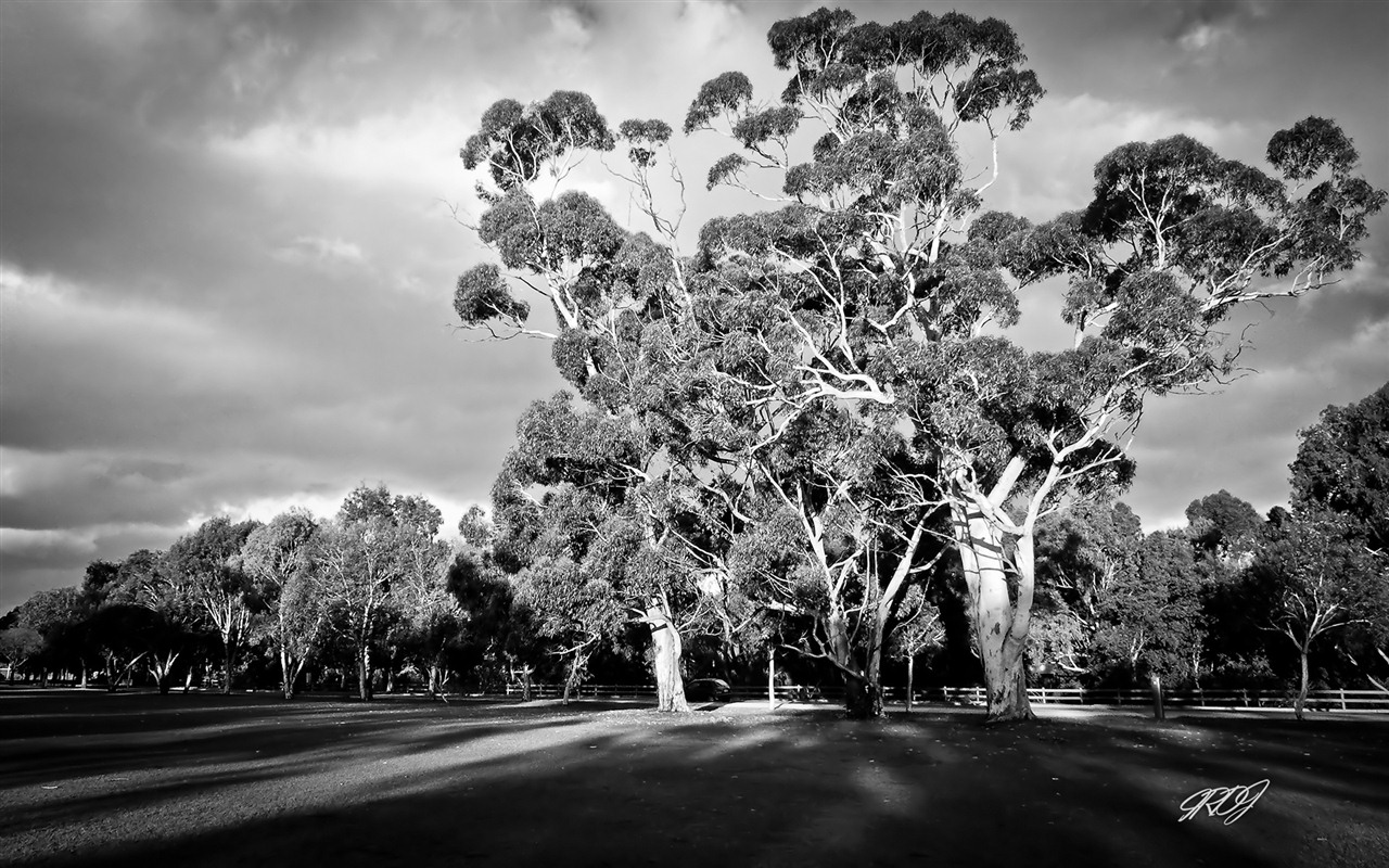 Hermosos paisajes de Australia fondos de pantalla de alta definición #7 - 1280x800