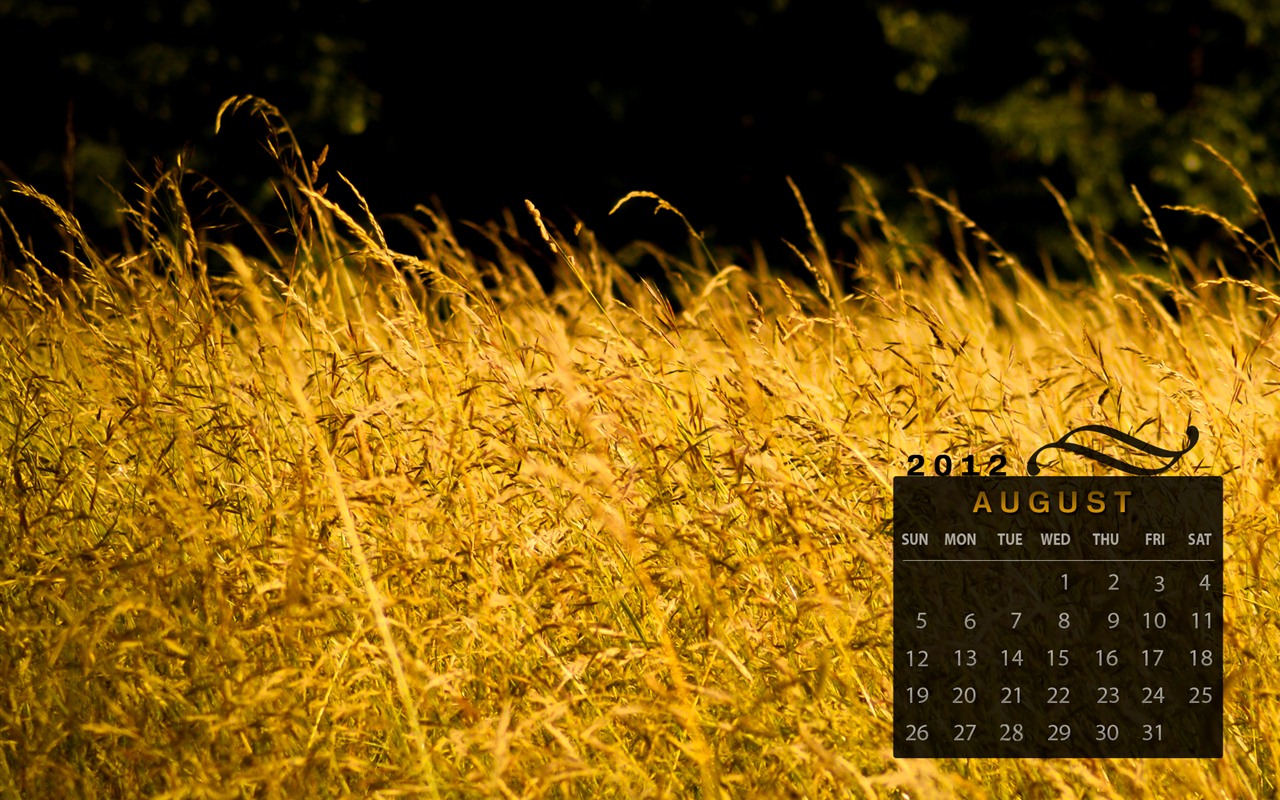 Calendario de agosto de 2012 fondos de pantalla (1) #2 - 1280x800