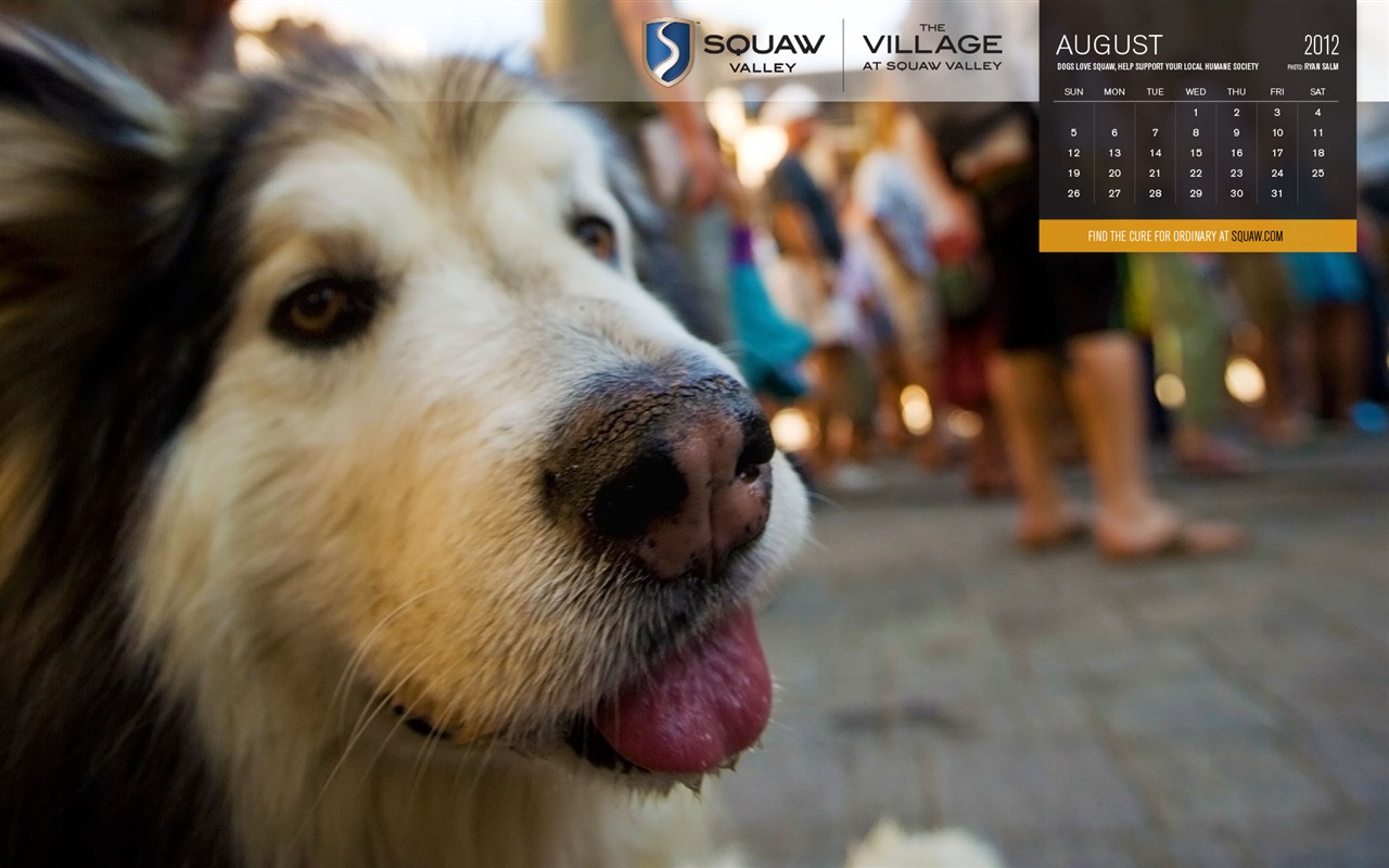 August 2012 Kalender Wallpapers (1) #3 - 1280x800