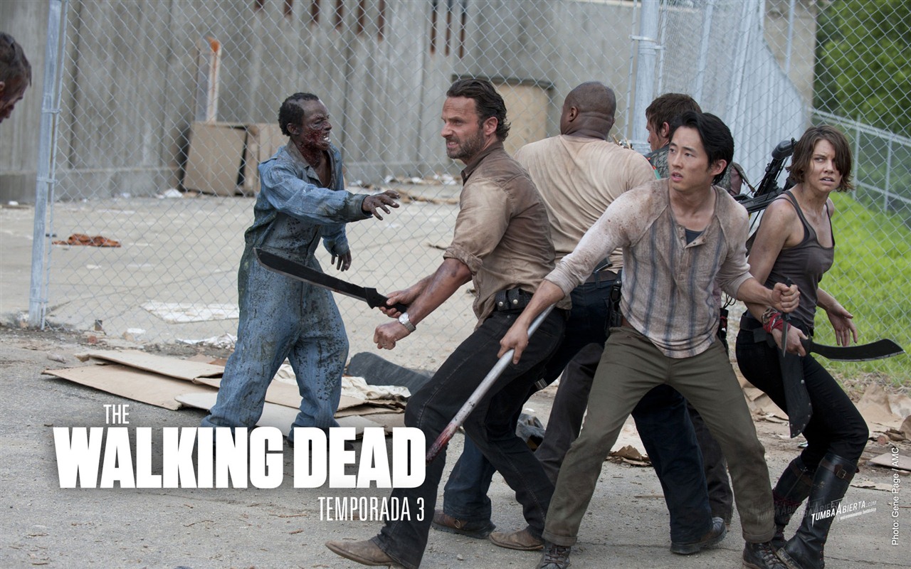 The Walking Dead обои HD #17 - 1280x800