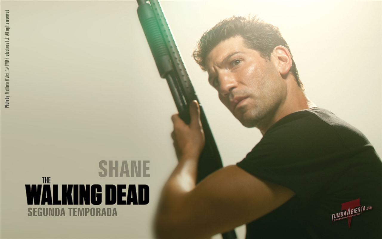 The Walking Dead обои HD #24 - 1280x800