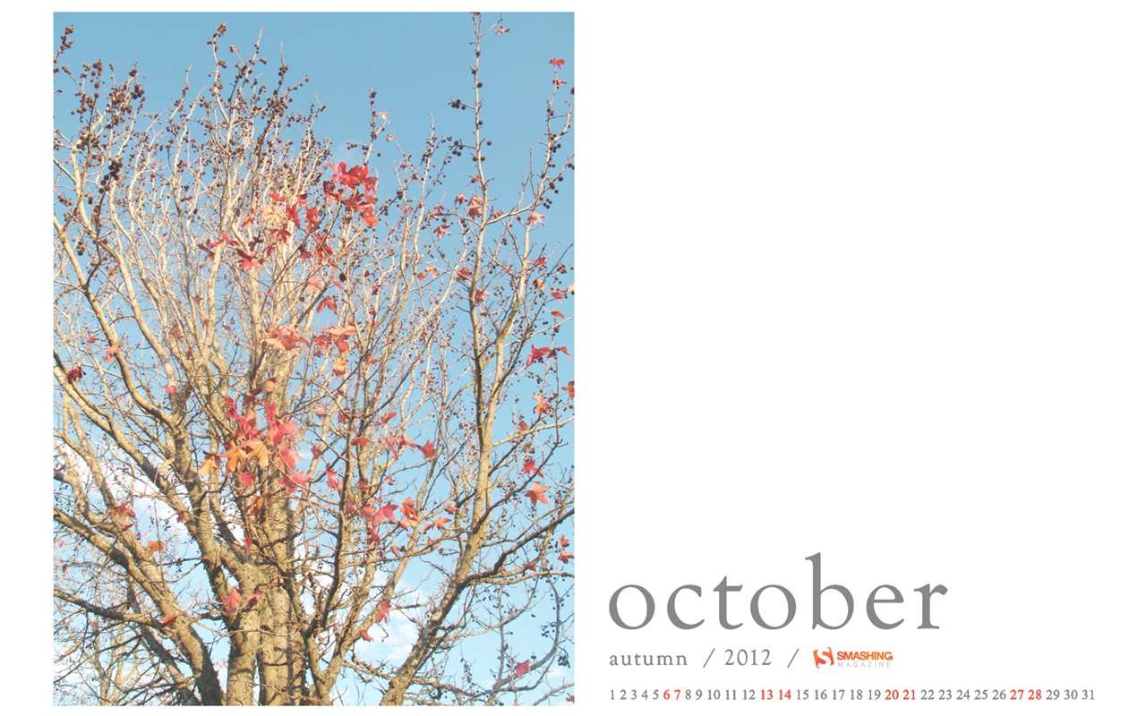 October 2012 Calendar wallpaper (1) #6 - 1280x800