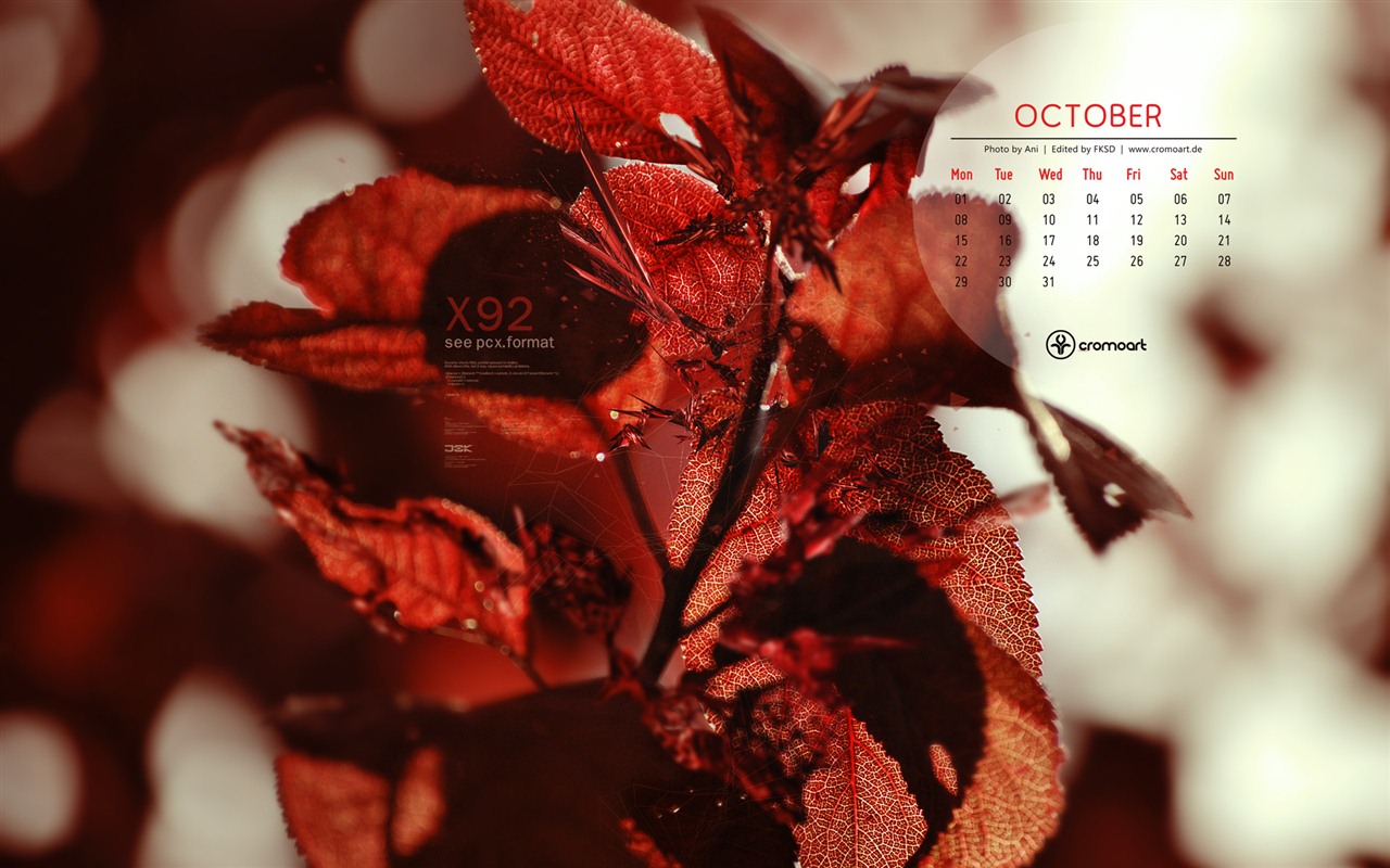 10 2012 Calendar fondo de pantalla (2) #20 - 1280x800
