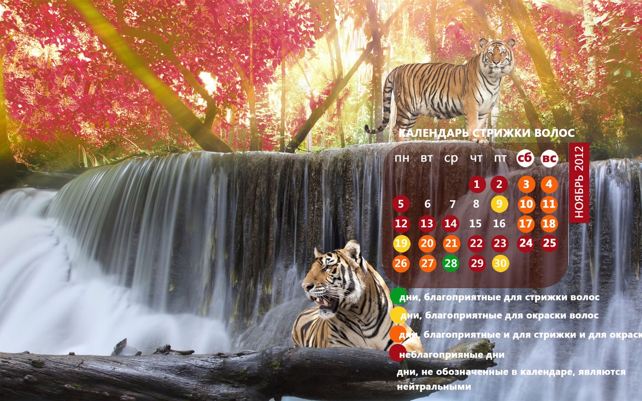 Novembre 2012 Calendar Wallpaper (2) #18 - 1280x800